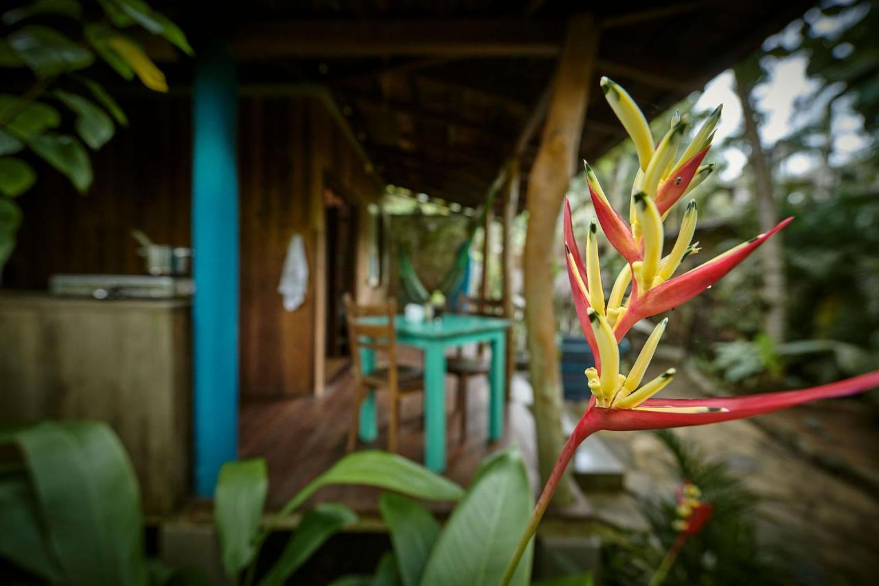 Casa Vana Hiriketiya 迪克韦勒 外观 照片